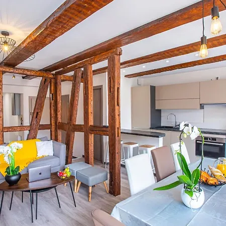 アパート Chez Anne Sophie Historic Center Full Comfort コルマール