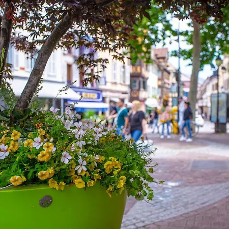 Chez Anne Sophie Historic Center Full Comfort アパート *