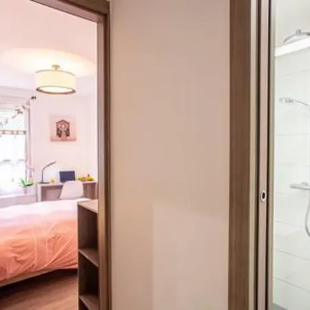 Chez Anne Sophie Historic Center Full Comfort Colmar