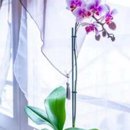 Chez Anne Sophie Historic Center Full Comfort Apartmán