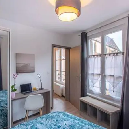 Chez Anne Sophie Historic Center Full Comfort Colmar