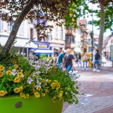 Chez Anne Sophie Historic Center Full Comfort *