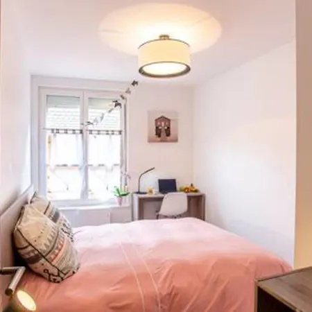 Chez Anne Sophie Historic Center Full Comfort Colmar
