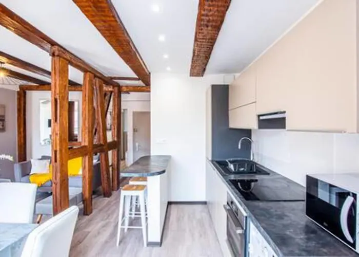 Apartamento Chez Anne Sophie Historic Center Full Comfort Colmar