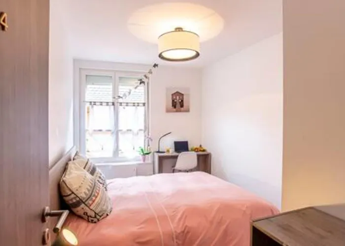 Chez Anne Sophie Historic Center Full Comfort * Colmar