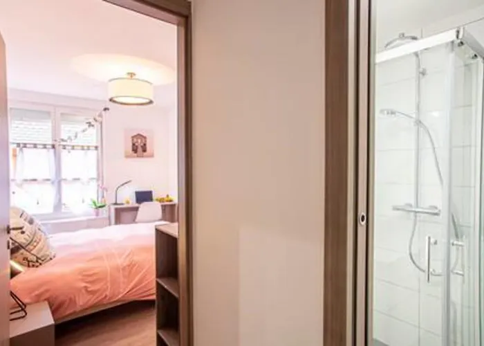 Chez Anne Sophie Historic Center Full Comfort Colmar