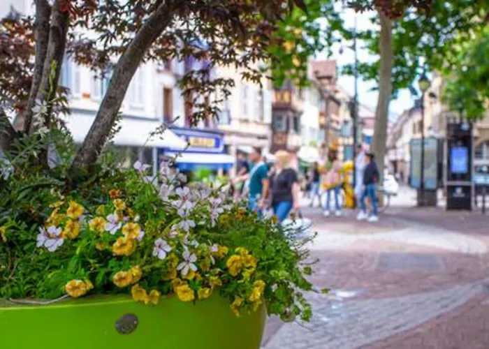 Chez Anne Sophie Historic Center Full Comfort *